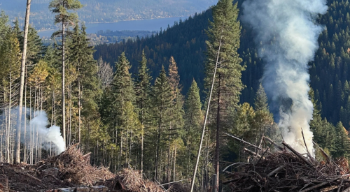 Ban on category 3 fires going into effect in the Okanagan, Thompson-Nicola region