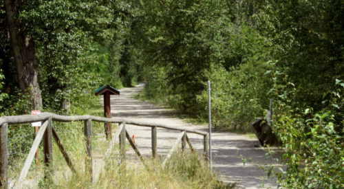 Kelowna weather: Cooler and cloudy with a small chance of showers