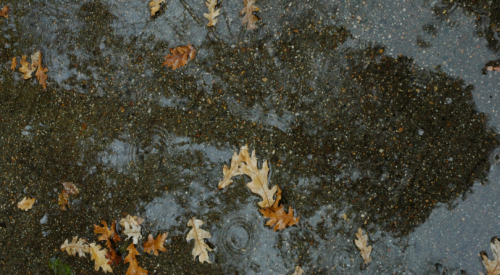 Unusually warm December day sees 9 BC temperature records shattered