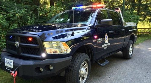 BC man fined $50K, handed 10-year hunting ban for illegal wildlife kills